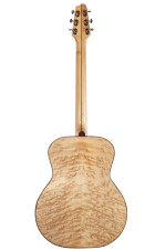 guitar-238-back