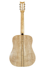 guitar-244-back